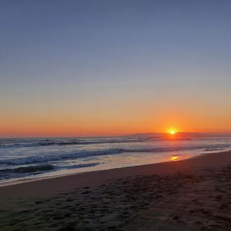 Il Mirtillo Colorata In Versilia