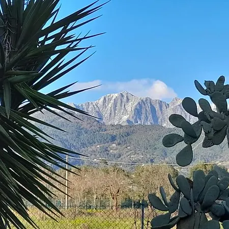 Il Mirtillo Colorata In Versilia Appartement Vallecchia