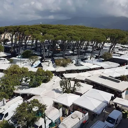Il Mirtillo Colorata In Versilia